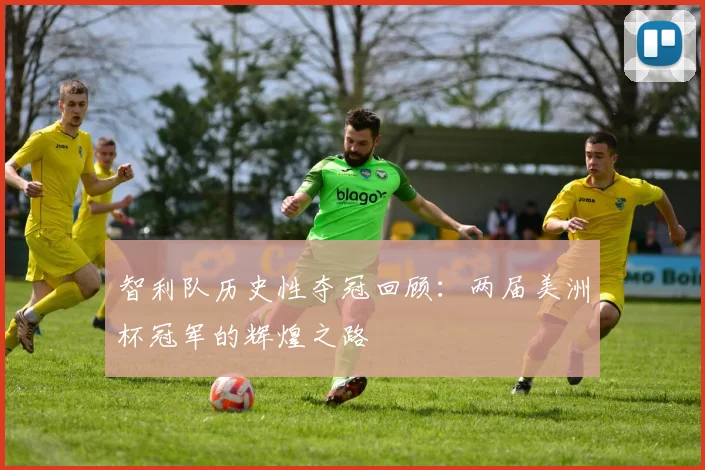 智利队历史性夺冠回顾：两届美洲杯冠军的辉煌之路