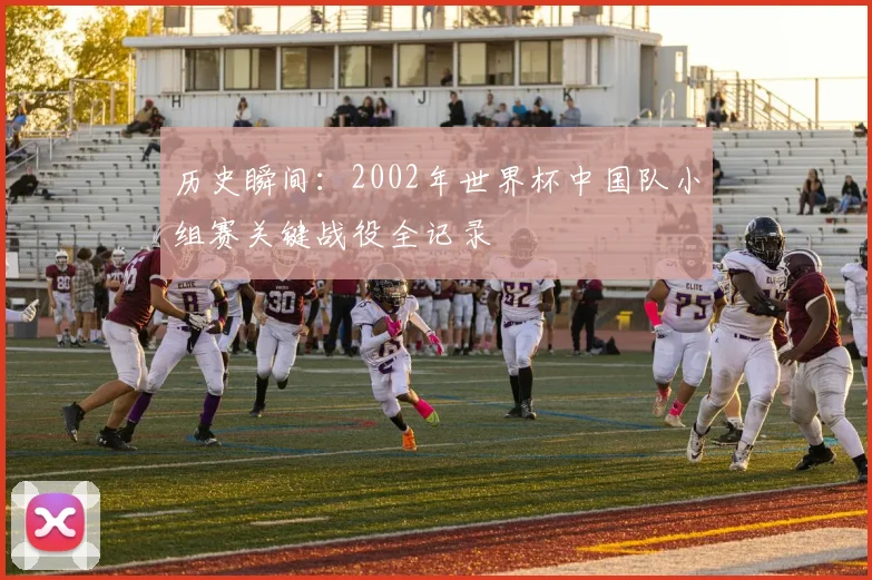 历史瞬间：2002年世界杯中国队小组赛关键战役全记录