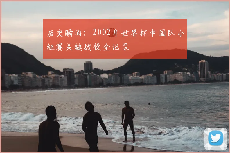 历史瞬间：2002年世界杯中国队小组赛关键战役全记录