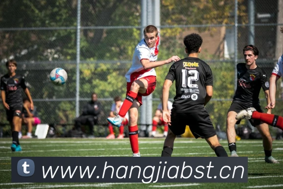 beat365.cn在线登录入口服务体系